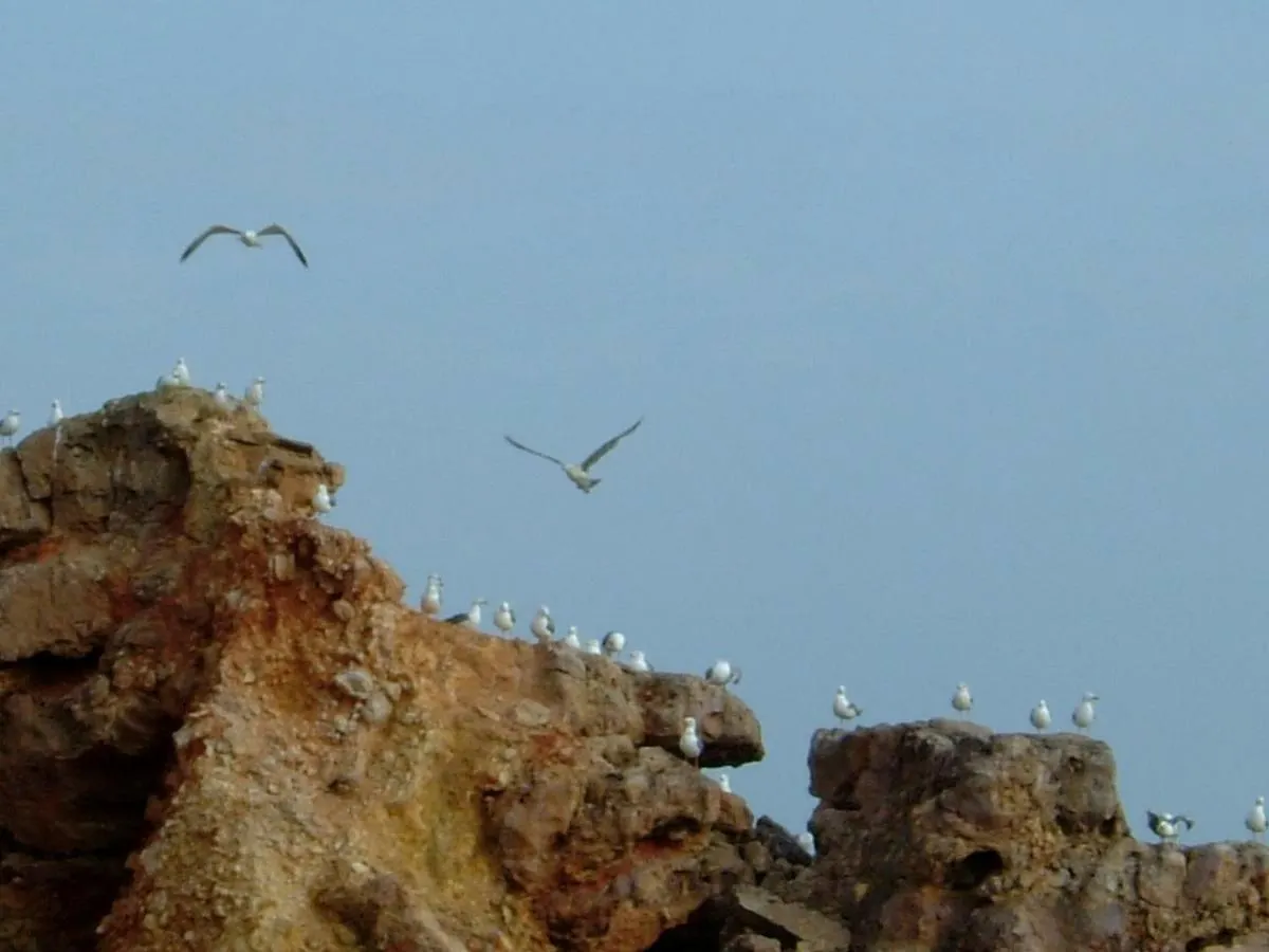 Casa Luana - Rooms Sagres Pensionat